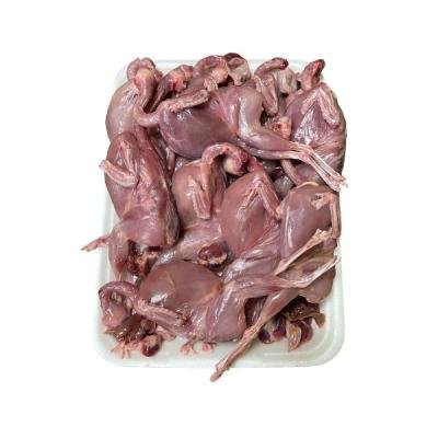 কোয়েল পাখি